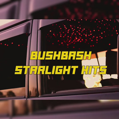 BushBash Starlight Headliner Kit